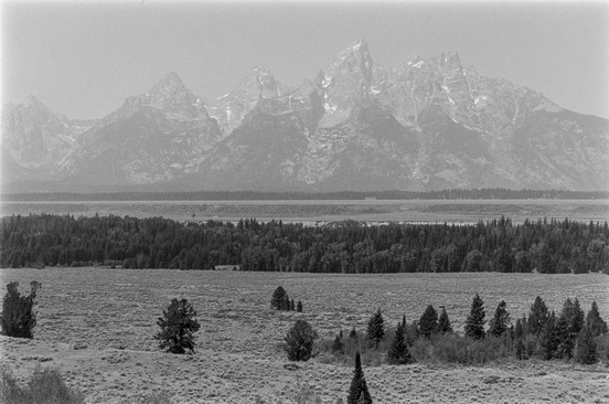 Black and white film negatives in low light